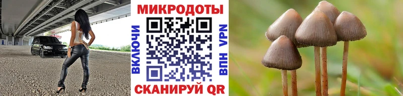 Псилоцибиновые грибы ЛСД Стерлитамак