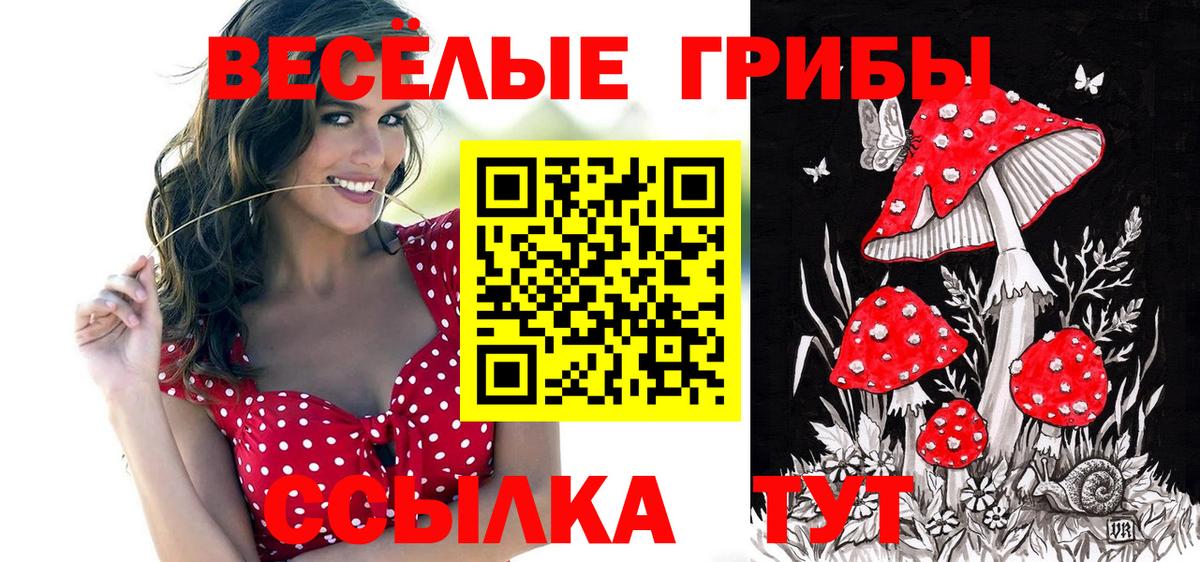 Стерлитамак  Псилоцибиновые грибы GOLDEN TEACHER  Вход с VPN 