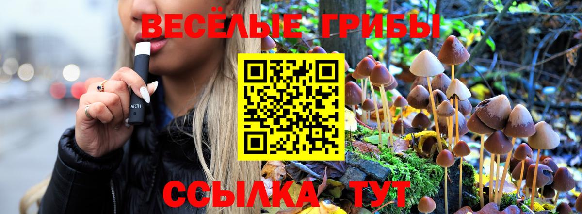 Галлюциногенные грибы мицелий Стерлитамак